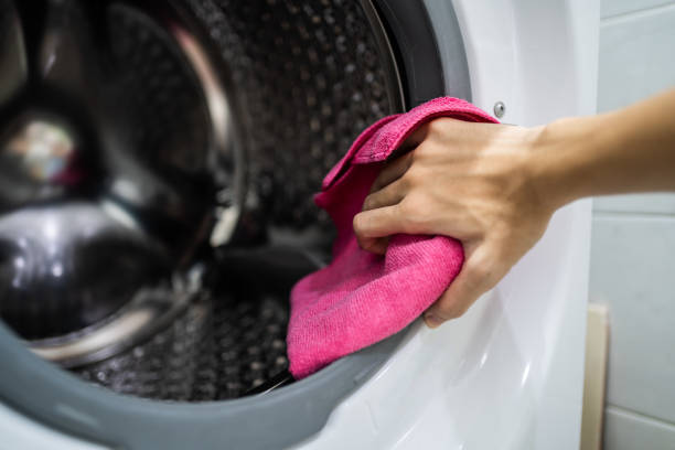 Best Mold Damage Restoration  in Roosevelt, NJ